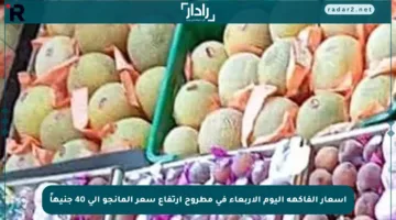 أسعار الفاكهة اليوم الأربعاء في مطروح ارتفاع سعر المانجو إلى 40 جنيهاً